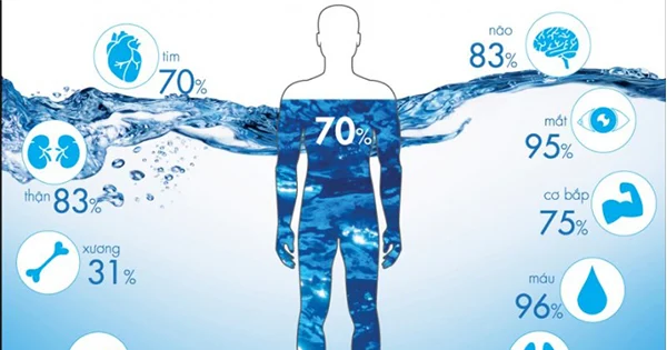 70% cơ thể chúng ta là nước